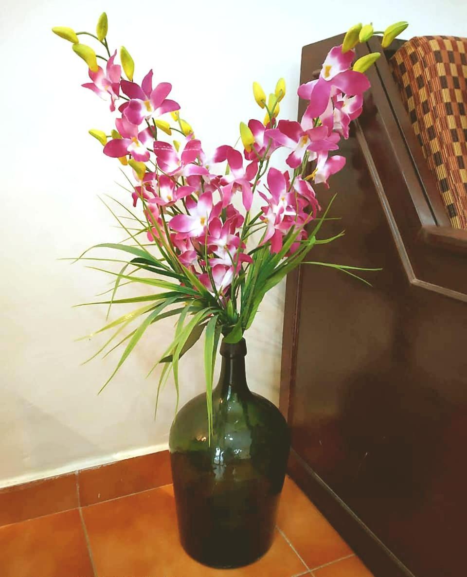 Diana Apartments Candolim Dış mekan fotoğraf